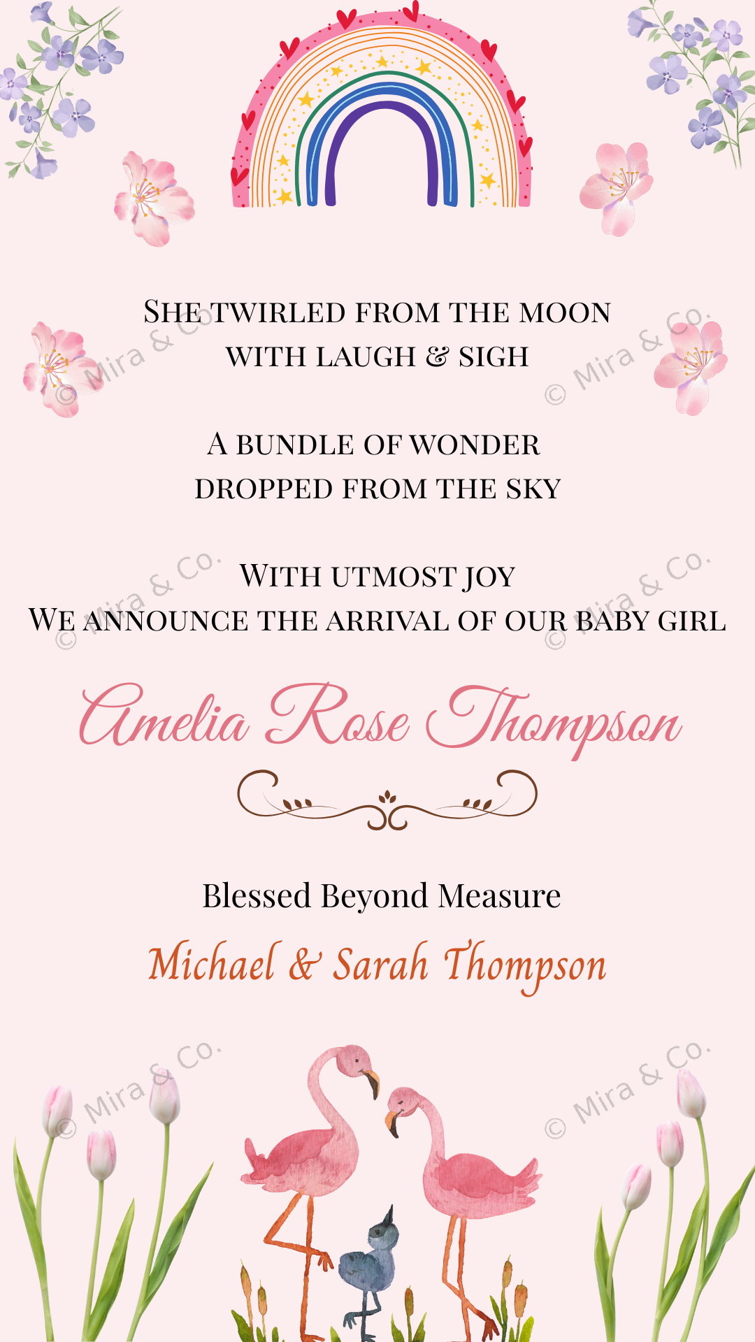 Flamingo Baby Announcement